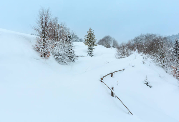 Winter Carpathian Mountains landscape. - Foto, imagen