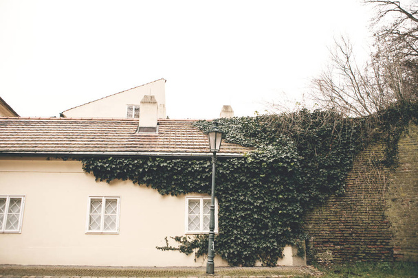 La casa está cubierta de hiedra con una linterna. Tradicional checa hermosa casa inusual en la calle Cerninska en el distrito de Hradjalá de Praga - la capital de la República Checa, Europa
. - Foto, imagen