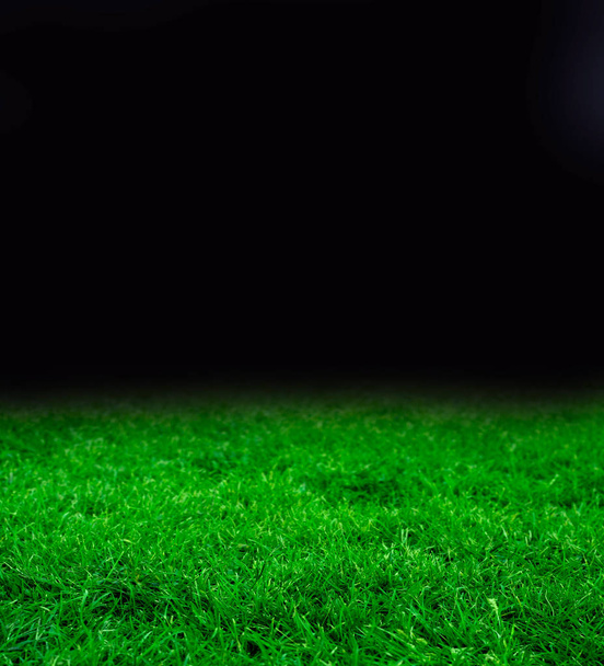 Tempalte met donkere nacht en mooie groen gras - Foto, afbeelding
