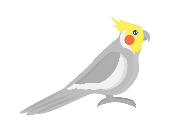 Cartoon tropical parrot wild animal bird vector illustration. - Vetor, Imagem