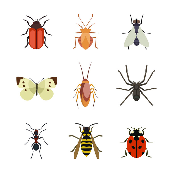 Icono de insecto plano aislado naturaleza volando mariposa escarabajo hormiga y vida silvestre araña saltamontes o mosquito cucaracha animal biología vector gráfico ilustración
. - Vector, Imagen