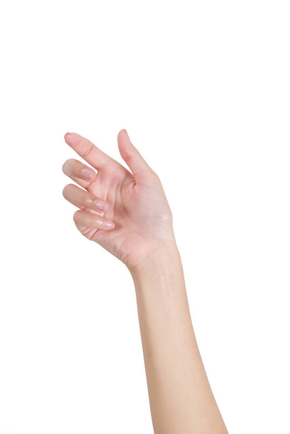 Vrouw hand hebt iets leeg voorzijde, geïsoleerd op witte achtergrond. - Foto, afbeelding