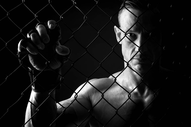 poderoso atleta MMA
 - Foto, Imagem