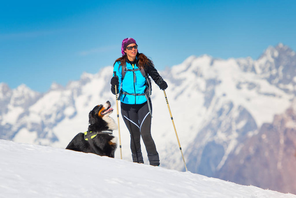 Hegymászó (alpinista) lány, a sí- és sealskins, egyedül az ő hűséges kutya  - Fotó, kép