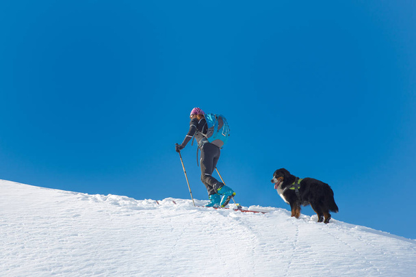 Fille ski alpiniste sel de montagne seul avec son chien bernois Mo
 - Photo, image