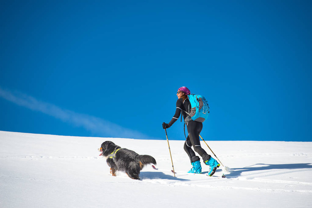 A lány teszi kutyája, Skialpinizmus - Fotó, kép