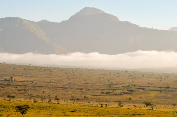 Άνοδος των ομίχλη στη σαβάνα και βουνά  - Φωτογραφία, εικόνα