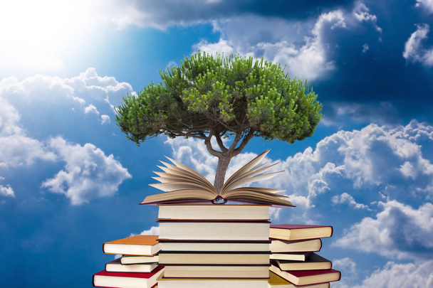 drzewo rosnące w open książki  - Zdjęcie, obraz