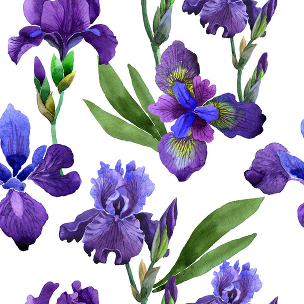 Modello di fiore di iris Wildflower in uno stile di acquerello isolato
. - Foto, immagini