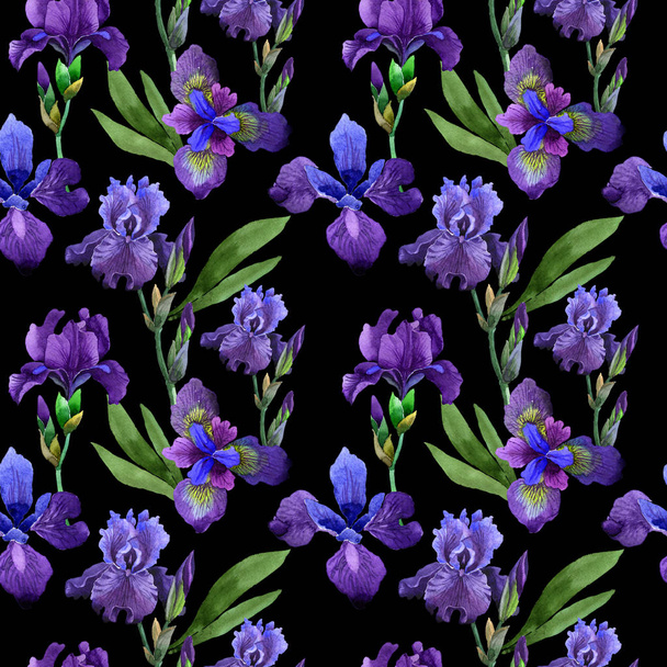 Wildflower iris flower pattern in a watercolor style isolated. - Foto, Imagen