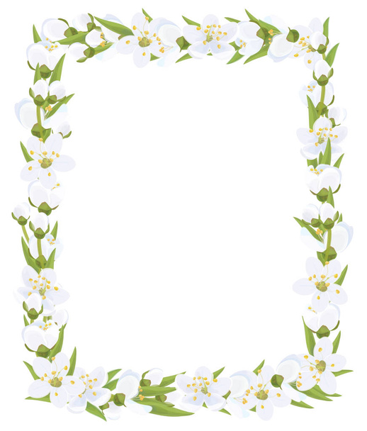 Florale Rahmenillustration - Vektor, Bild