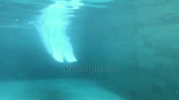 SLOW MOTION. Underwater view of professional male swimmer diving into blue water - Metraje, vídeo
