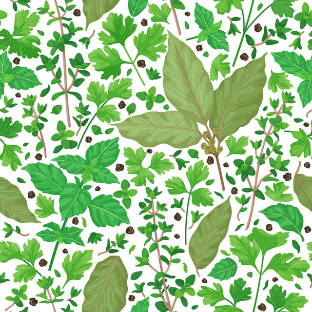 Seamless Pattern with Herbs - Вектор,изображение
