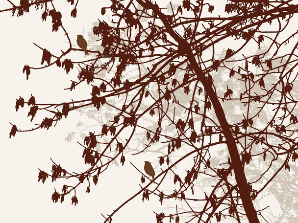 syksyn puun siluetti
 - Vektori, kuva