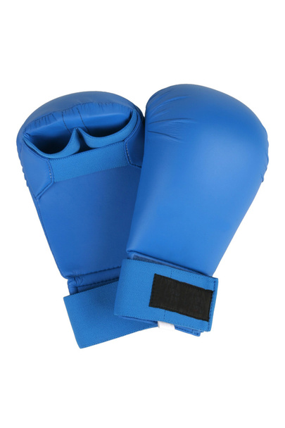 Blue karate gloves - Fotoğraf, Görsel