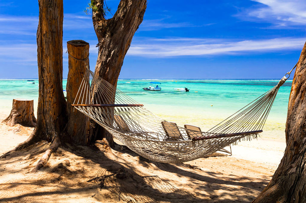 férias tropicais - relaxar em rede na praia
 - Foto, Imagem