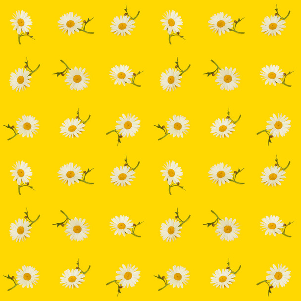 Roztomilý bezešvé fotografické květinový vzor, sedmikrásky na žlutém podkladu - Fotografie, Obrázek