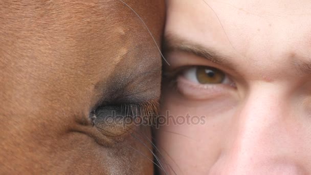 Olho animal e humano - cavalo e homem olhando juntos para a câmera. Vista de perto do olho de um belo garanhão marrom e jovem cara bonito. Detalhe visão e piscar de menino e égua. Movimento lento
 - Filmagem, Vídeo
