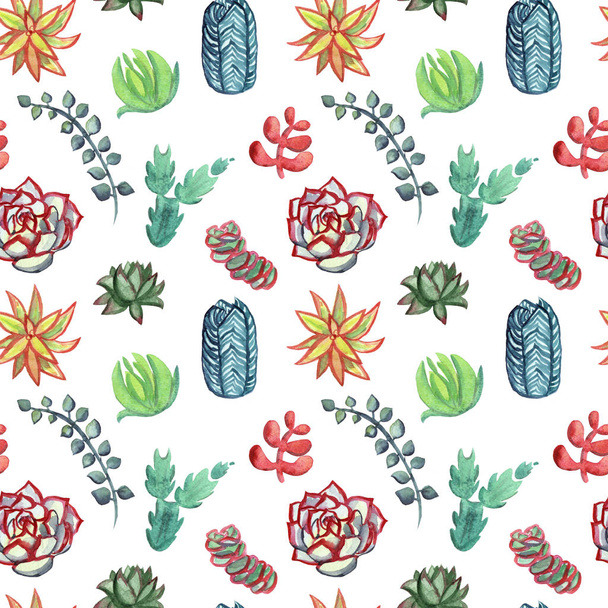 Cactus aquarelle motif sans couture. Cactus vibrant coloré succulents
 - Photo, image