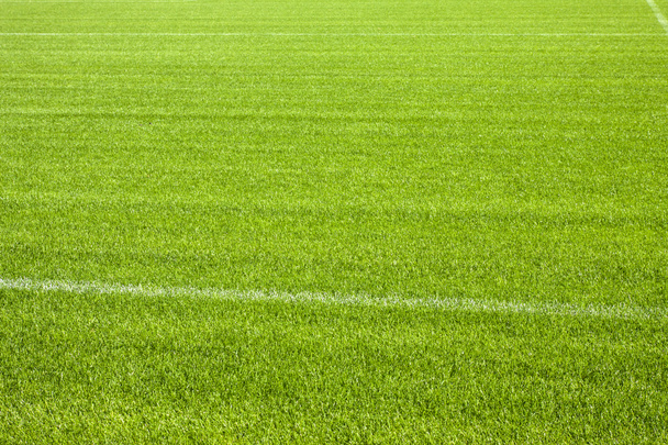 Football grass background - Photo, Image