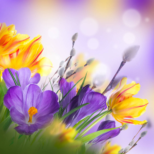 Carte de Pâques avec fleurs
 - Photo, image