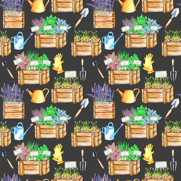 Бесшовный узор с изолированными акварельными специями (пряные травы) в деревянных коробках и садовых инструментах
 - Фото, изображение