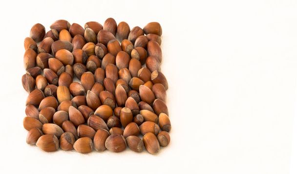 Ryhmä raaka hasselpähkinät säädetyssä muodossa neliön
  - Valokuva, kuva