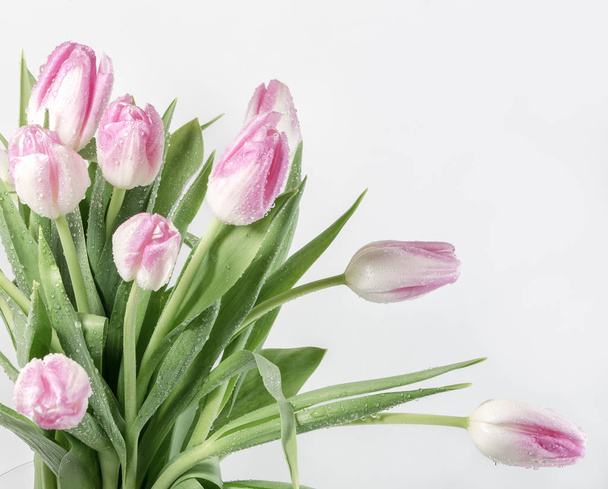 Strauß mit rosa Tulpen in der Vase - Foto, Bild