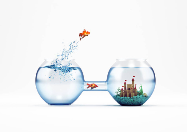 Bir akvaryum içinde sıçramak goldfish  - Fotoğraf, Görsel