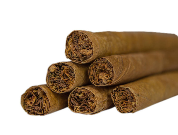 Кубинская сигара крупный план
 - Фото, изображение