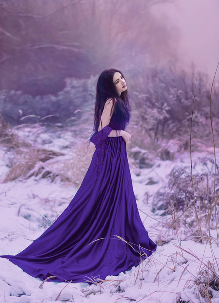 Lady in a luxury lush purple dress - Fotografie, Obrázek