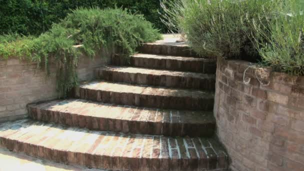 Barfüßige Frau steigt im Garten eine Treppe hinauf - Filmmaterial, Video