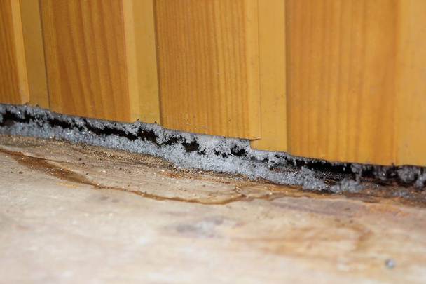 effects of plastic paneling on old house - Photo, Image