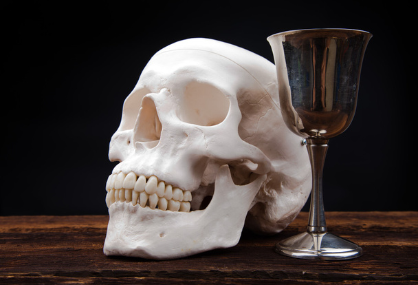 Human scull - Foto, afbeelding