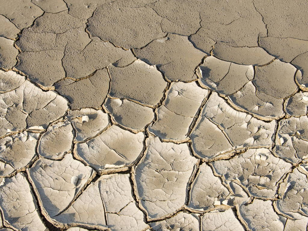 Текстура трещин в земле. Фотография на открытом воздухе
 - Фото, изображение
