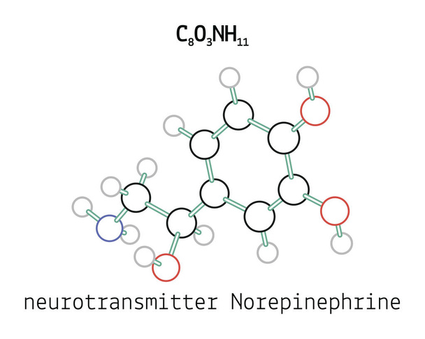 C8O3NH11 Molécula de norepinefrina
 - Vetor, Imagem