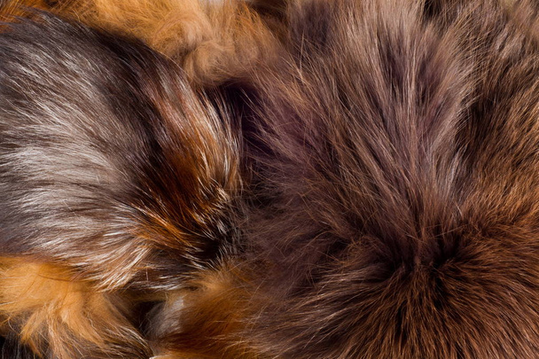 Texture, background. Fur Fox. a carnivorous mammal of the dog fa - Photo, Image