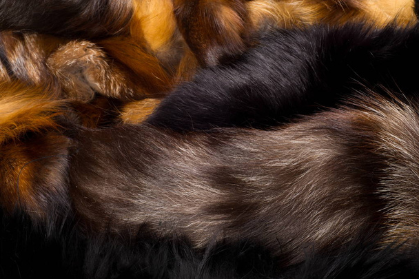 Textúra, háttér. Szőrme róka. a húsevő emlősök a kutya fa - Fotó, kép