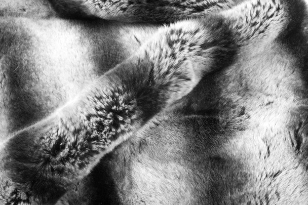 rabbit fur texture, background - Photo, Image