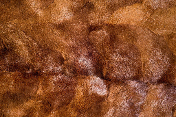 textura, fondo. visón marrón
 - Foto, imagen