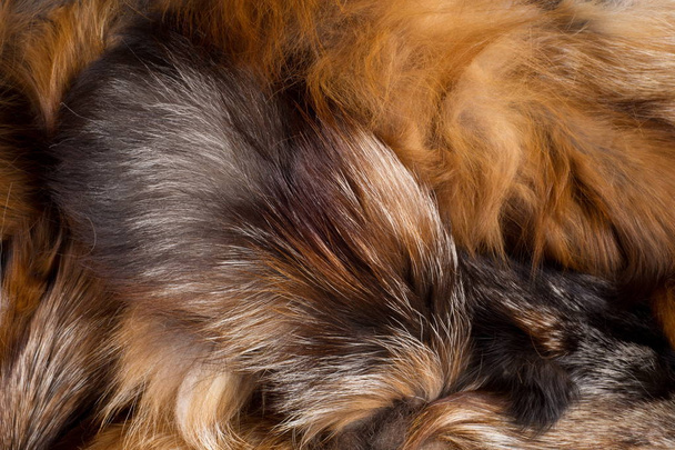 Texture, background. Fur Fox. a carnivorous mammal of the dog family with a pointed muzzle and bushy tail, proverbial for its cunning. - Photo, Image