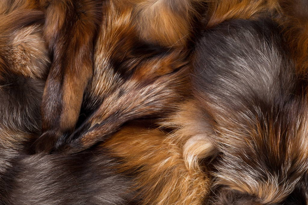 Texture, background. Fur Fox. a carnivorous mammal of the dog fa - Photo, Image