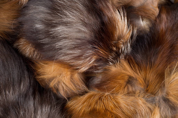 Textur, Hintergrund. Pelzfuchs. ein fleischfressendes Säugetier des Hundes - Foto, Bild