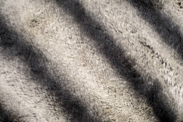 textura de pele de coelho, fundo
 - Foto, Imagem