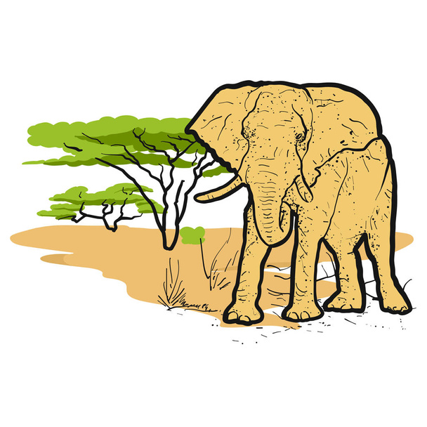 Ελέφαντας στη σαβάνα Έγχρωμη εικονογράφηση - Διάνυσμα, εικόνα