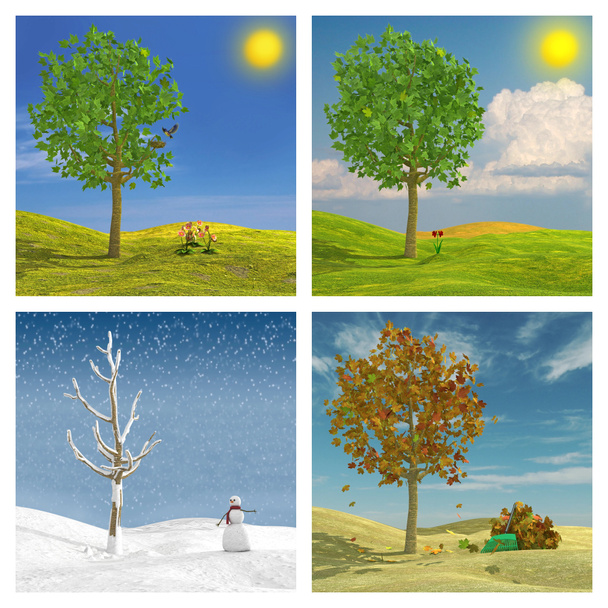 Les quatre saisons
 - Photo, image