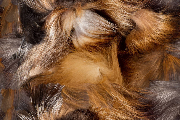 Texture, background, seamless pattern. This is useful for designers. Fox fur animal. Carnivorous mammals of the family. dog with long fluffy tail and his fur. - Photo, Image