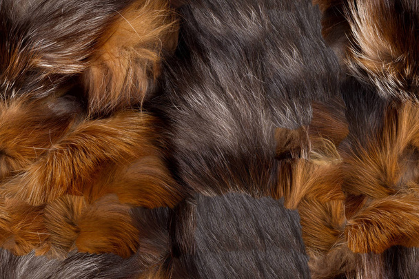 Textuur, achtergrond, naadloze patroon. Dit is handig voor ontwerpers. Fox bont dier. Vleesetende zoogdieren van de familie. hond met lange pluizige staart en zijn vacht. - Foto, afbeelding