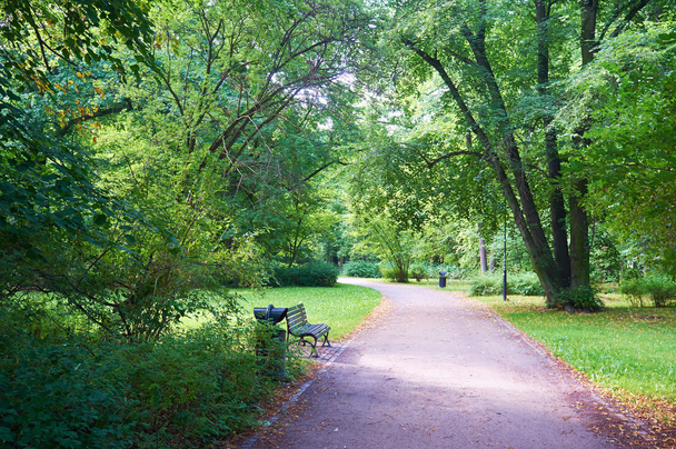 Public park in spring time - Photo, image