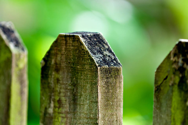 Moss cubierto postes de valla de madera
. - Foto, Imagen